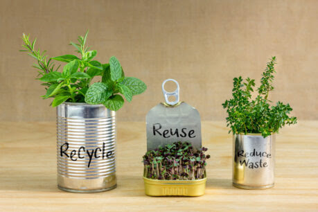 puszki metalowe z recyklingu z roślinami