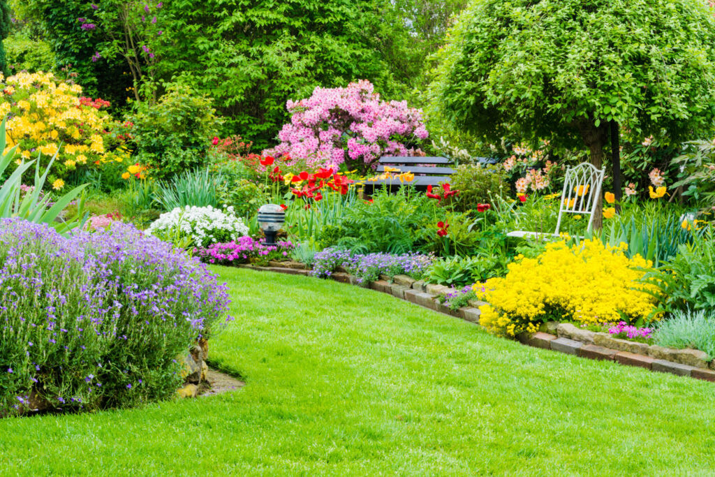 Piękny kolorowy ogród z ławką, trawnikiem, żólte, fioletowe, różowe byliny, czerwone tulipany, żółte rododenrdony
