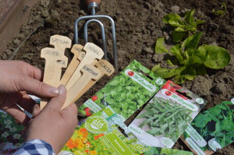 dłonie trzymaja etykiety drewniane z podpisami gatunków roślin. Poniżej torebki z nasionami leżące na ziemi