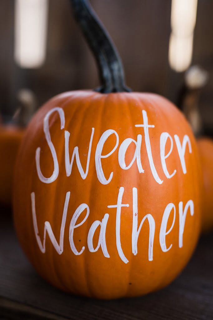 Dynia z napisem Sweater Weather