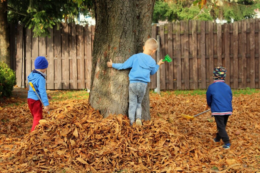 Dzieci grabiące liście pod dużym drzewem