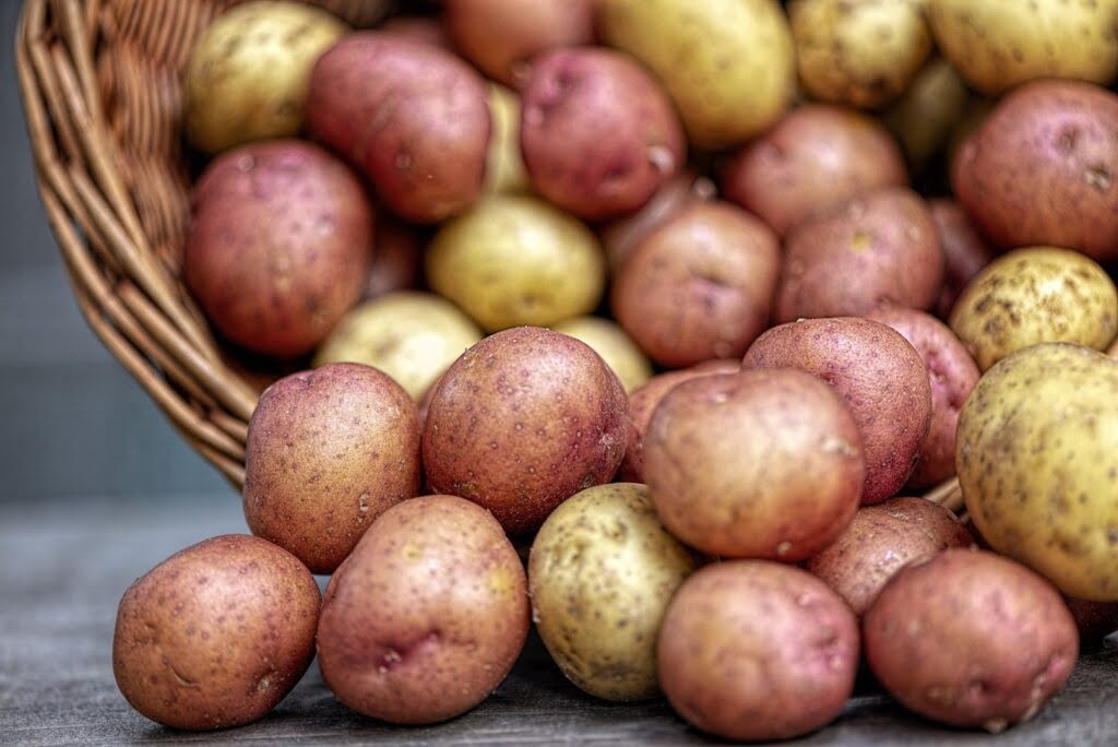 Różne odmiany ziemniaków w koszu