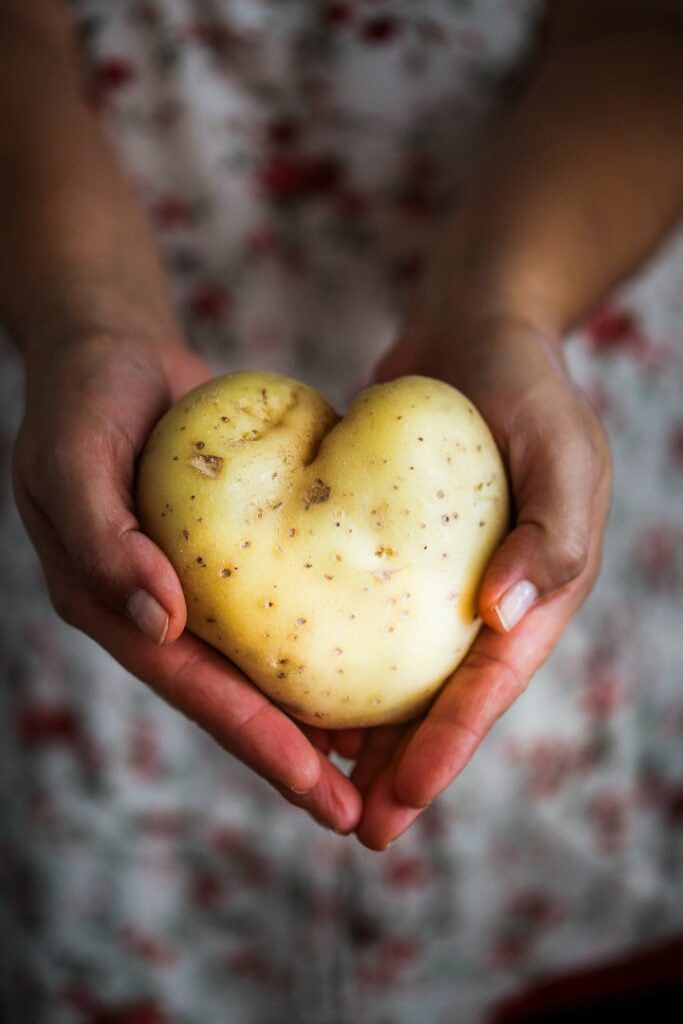 Ziemniak w kształcie serca trzymany w rękach.
