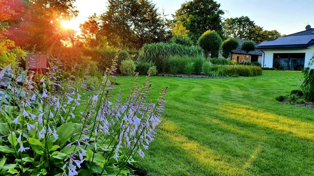 Piękny trawnik w ogrodzie