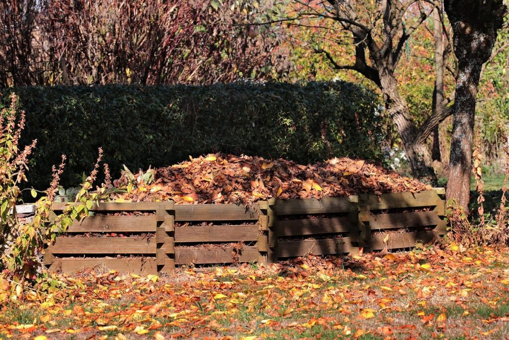 Kompostownik wypełniony jesiennymi liśćmi. 